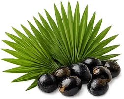 Ademunal — екстракт от сао палмето (Serenoa repens) във формулата