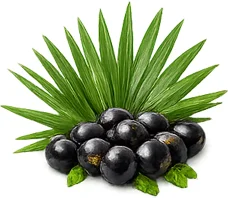 Ademunal — екстракт от сао палмето (Serenoa repens) във формулата