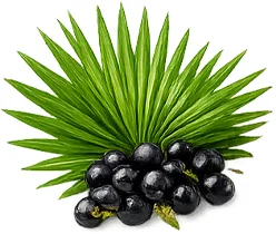 Ademunal — екстракт от сао палмето (Serenoa repens) във формулата