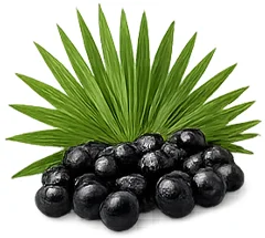 Ademunal — екстракт от сао палмето (Serenoa repens) във формулата