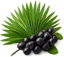 Ademunal — екстракт от сао палмето (Serenoa repens) във формулата