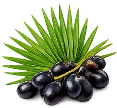 Ademunal — екстракт от сао палмето (Serenoa repens) във формулата