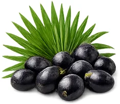 Ademunal — екстракт от сао палмето (Serenoa repens) във формулата
