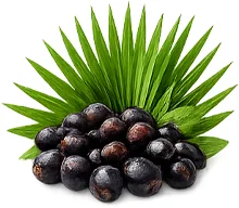 Ademunal — екстракт от сао палмето (Serenoa repens) във формулата
