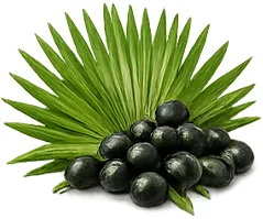 Ademunal — екстракт от сао палмето (Serenoa repens) във формулата