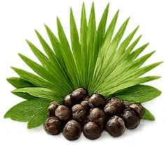 Ademunal — екстракт от сао палмето (Serenoa repens) във формулата