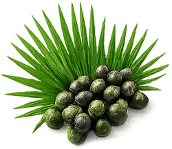 Ademunal — екстракт от сао палмето (Serenoa repens) във формулата