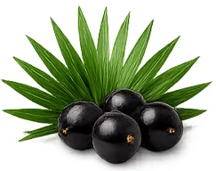 Ademunal — extrakt ze saw palmetto v receptuře