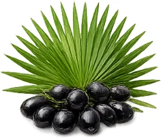 Ademunal — extrakt ze saw palmetto v receptuře