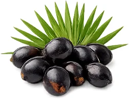 Ademunal — extrakt ze saw palmetto v receptuře